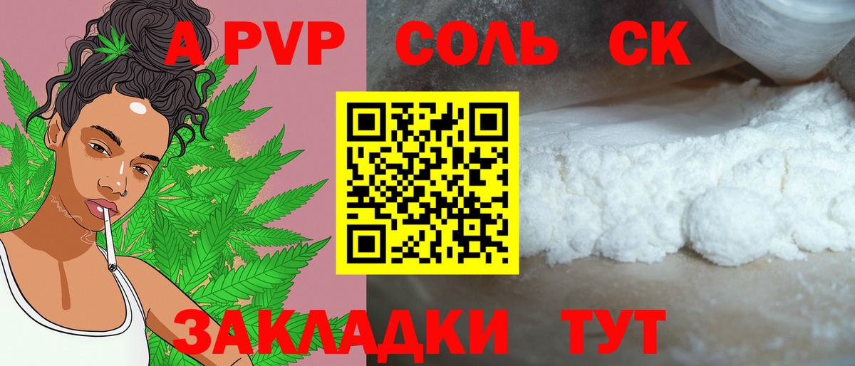 Alfa_PVP  A PVP СК КРИС  Вход с VPN  Воркута  APVP Соль 