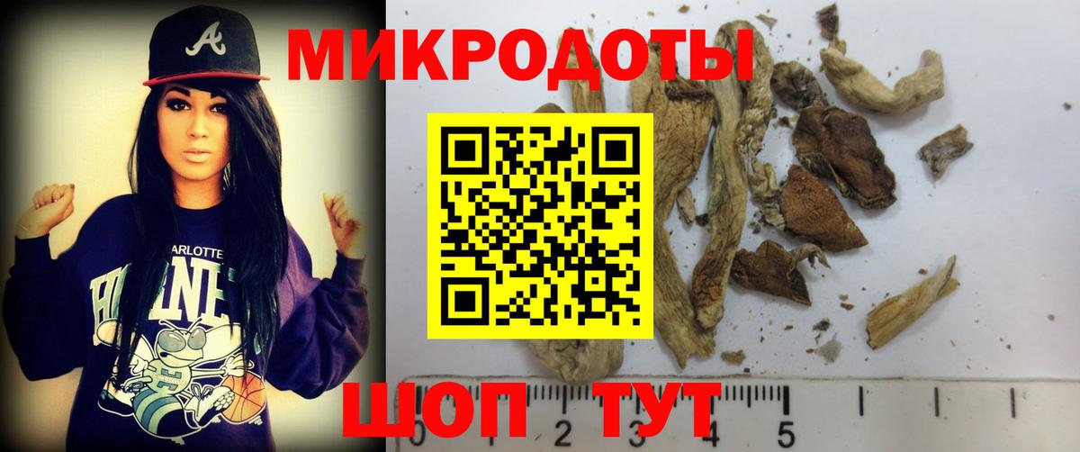Воркута  Галлюциногенные грибы Psilocybe  Вход с VPN 